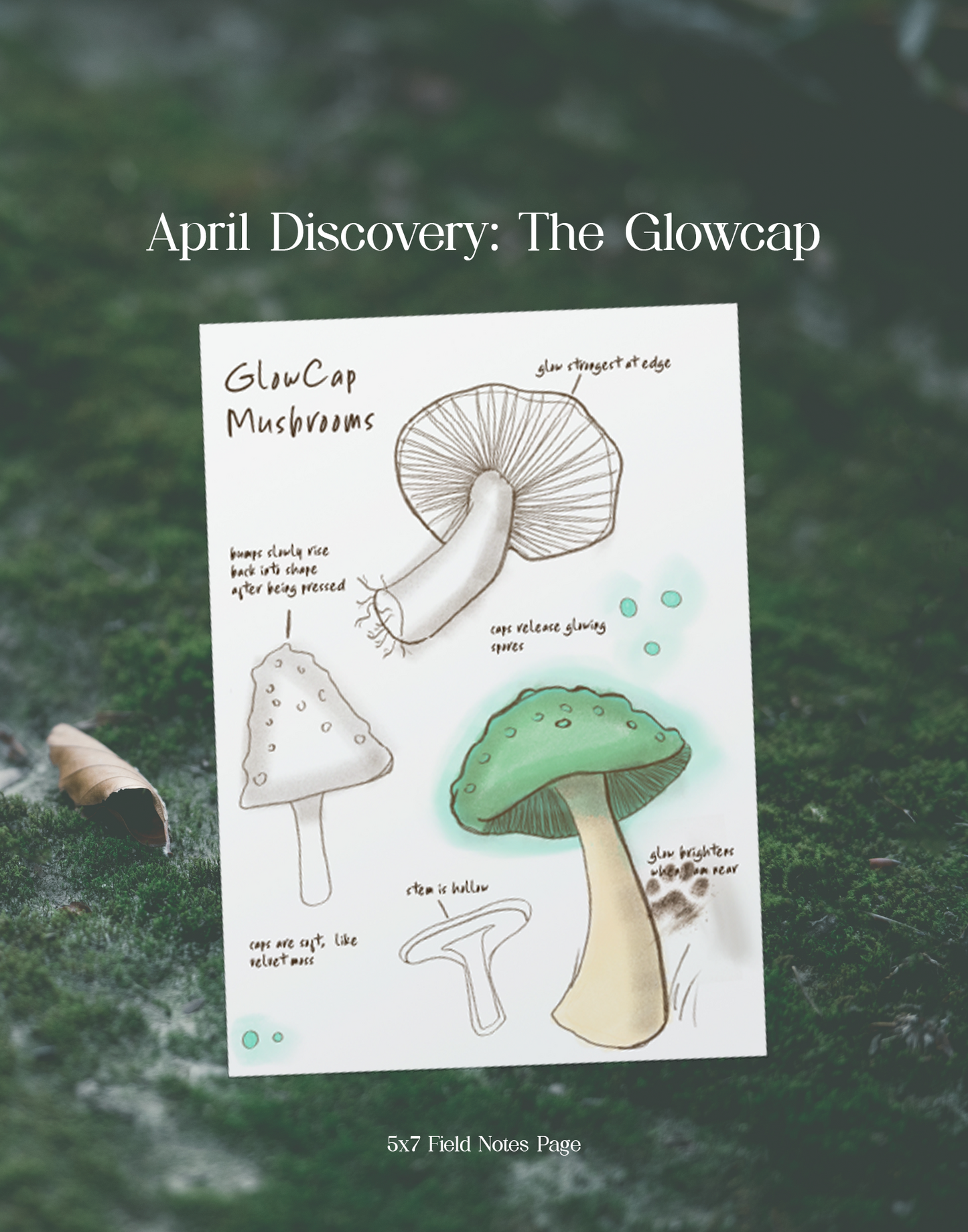 Sheet of mushroom illustration field notes page on a mossy rock background with text 'April Discovery: The Glowcap'.
